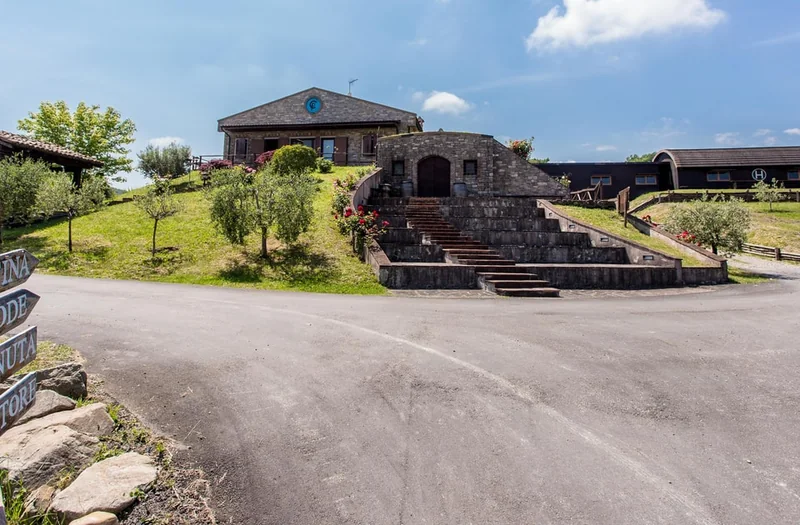 Winery Tour with 5 Wines and 5 Pairings