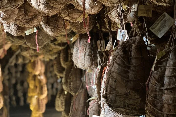 Rows of twine-tied culatelli hanging to age in a dark cellar