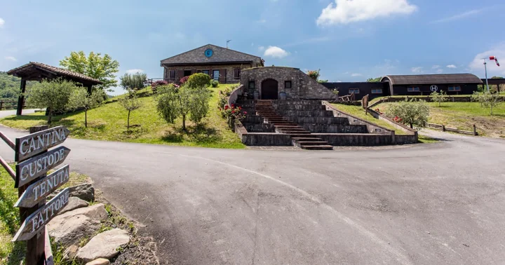 A stone winery building on a green hill with olive trees, reached by a curving road and a wooden signpost